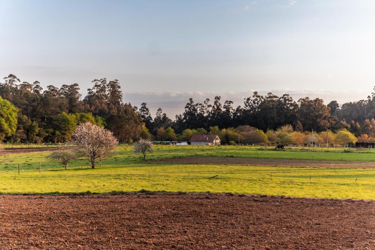 Albergue Espiritu Xacobeo أو بيدروزو المظهر الخارجي الصورة